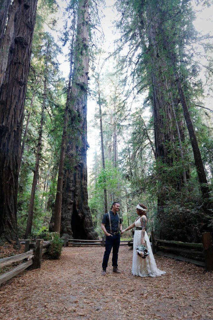santa cruz wedding redwoods