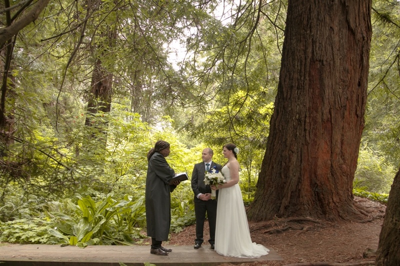 redwood wedding in San Francisco