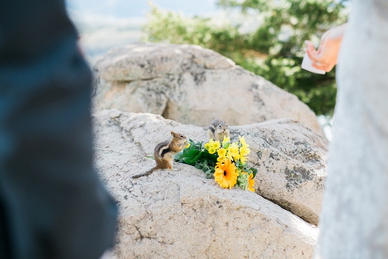 first married kiss