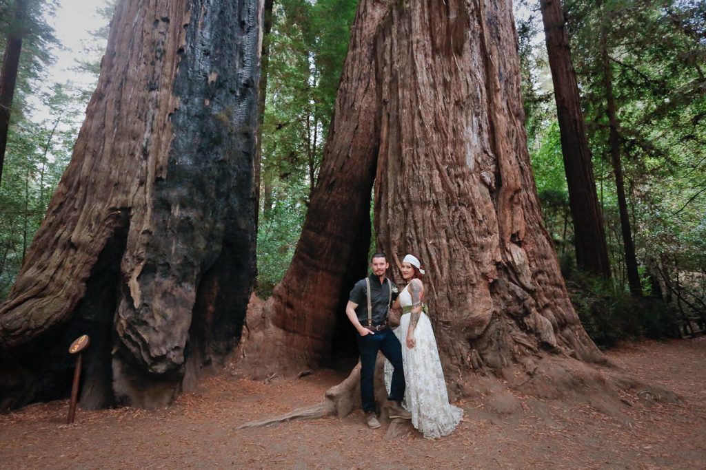 Courtney and Aaron's redwood wedding