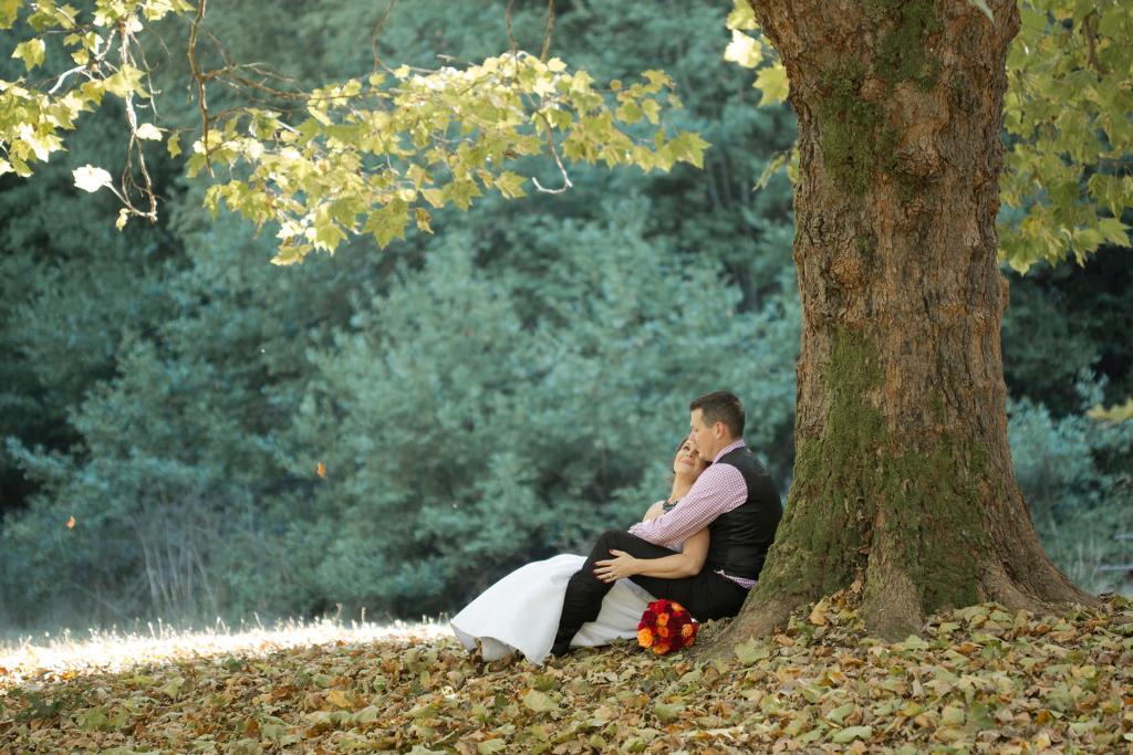 Michael And Lori S Intimate Redwood Forest Wedding