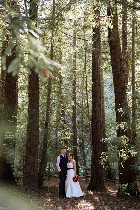 elope California redwoods