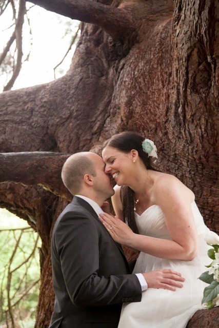 kissing in a redwood tree