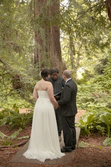 wedding vows amid the redwoods