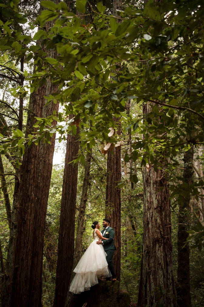 A couple amid the redwoods after booking an elopement package in Big Sur