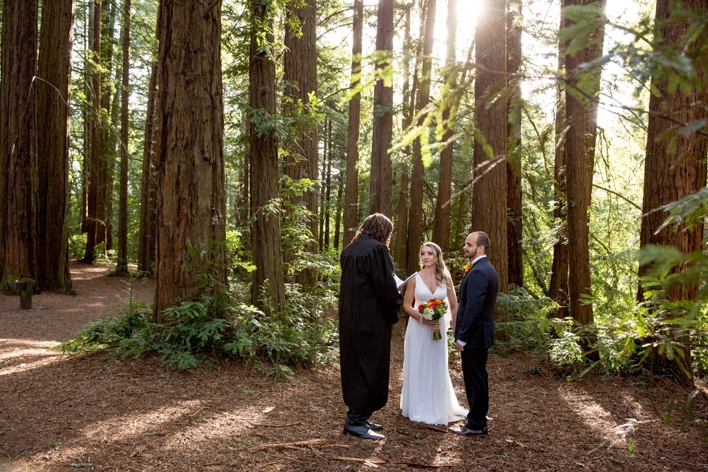 redwood wedding cermony in san francisco