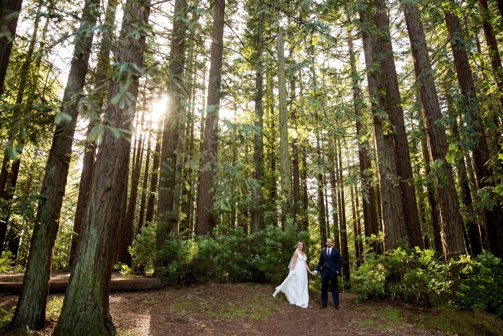 eloping in the San Francisco redwoods