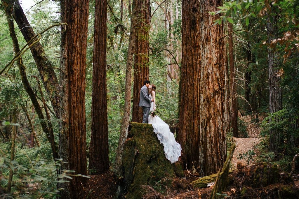 Dramatic conclusion to a California redwoods wedding.
