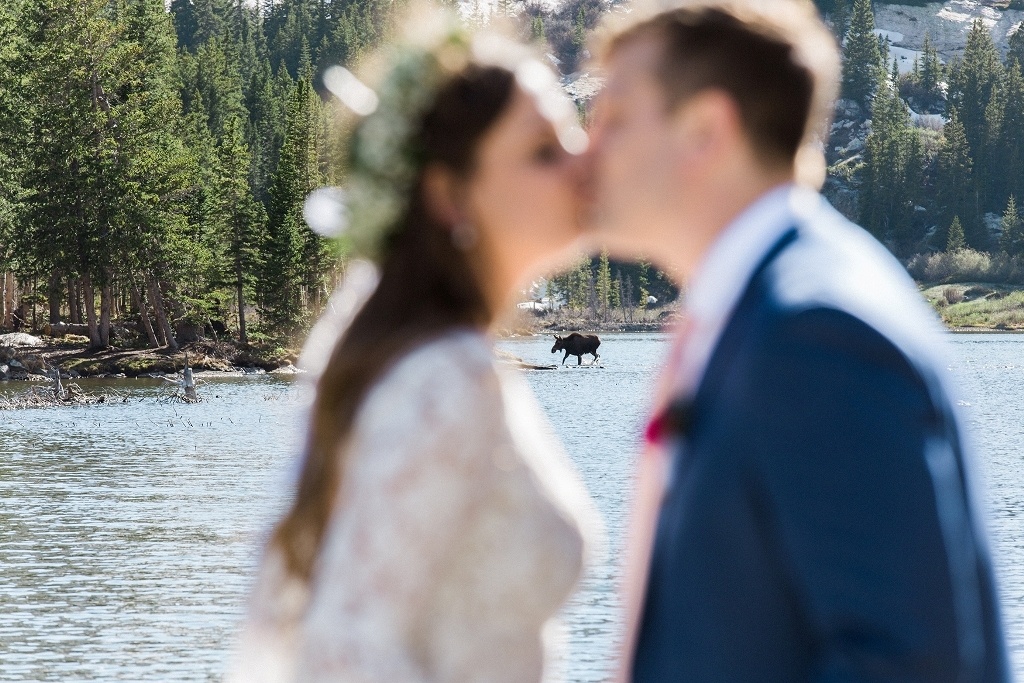 Colorado elopement wedding with moose in the background