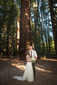 redwoods elope