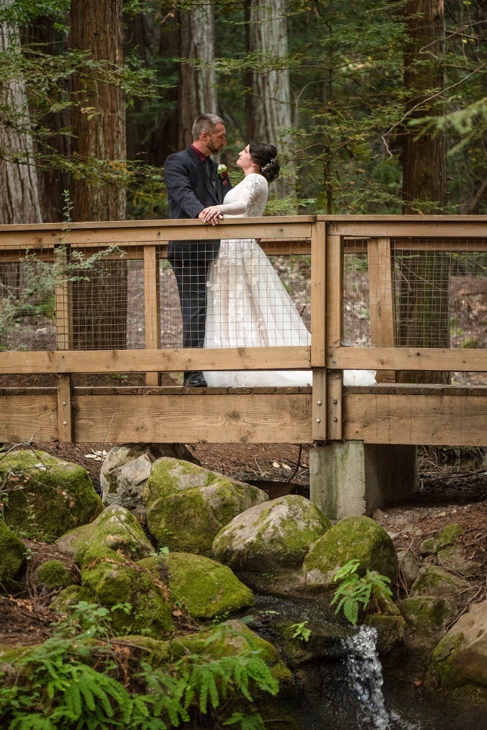 elope in the Saratoga redwoods