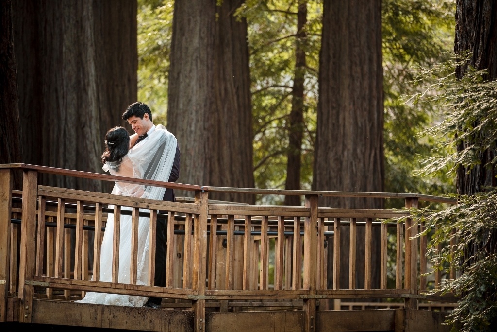 California elopement in the redwoods