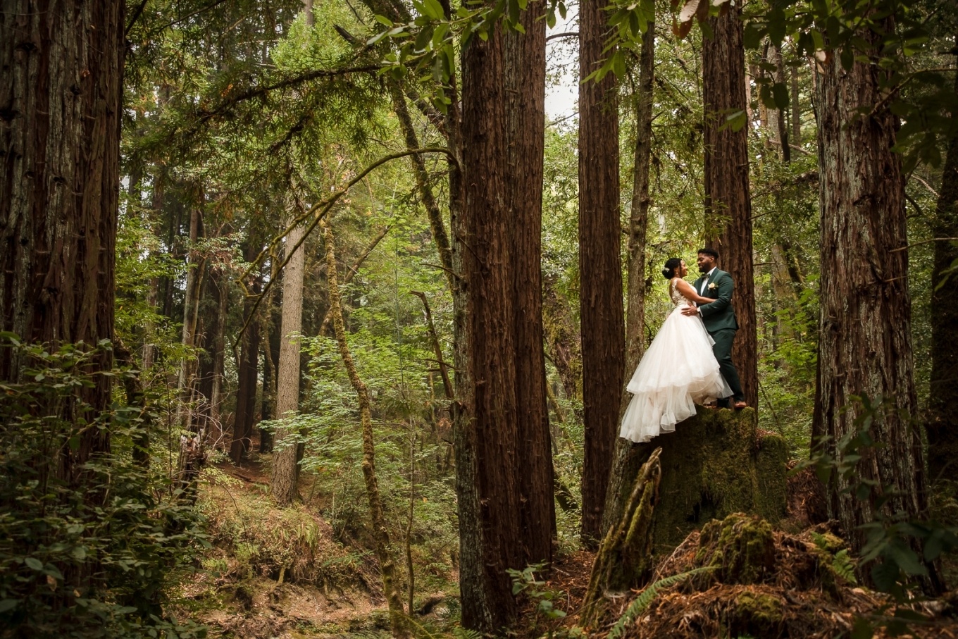 enchanted forest wedding ceremony