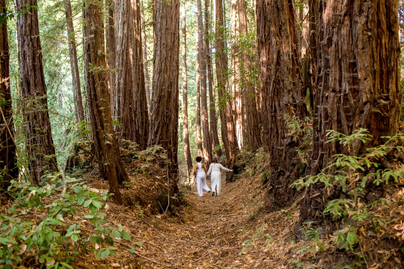 Hally and Maijia amid the redwoods