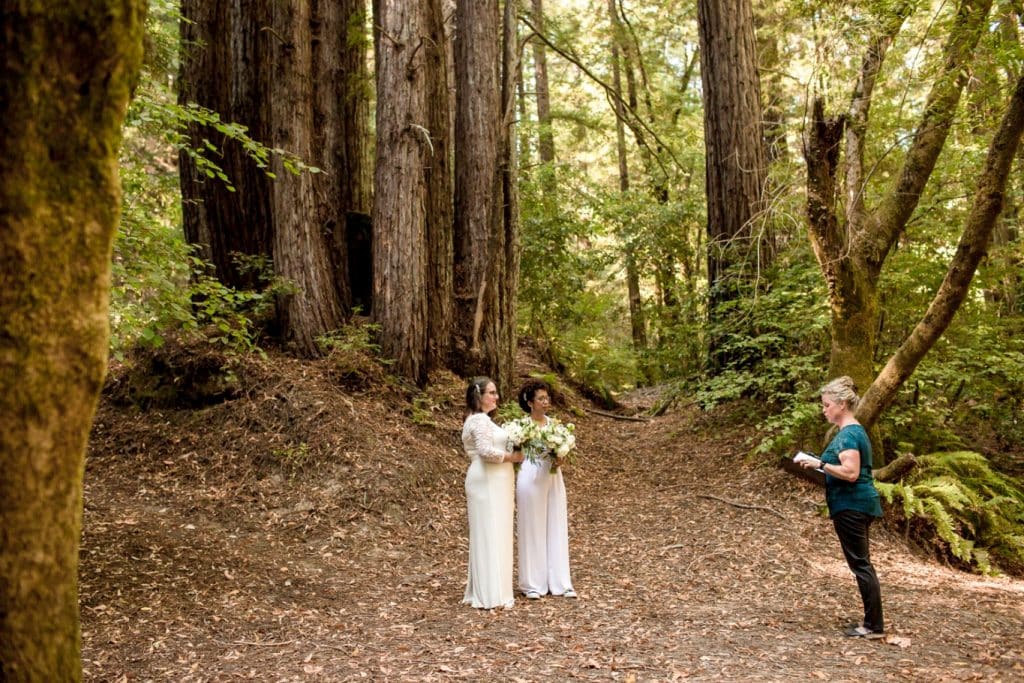 same-sex wedding ceremony in the redwoods