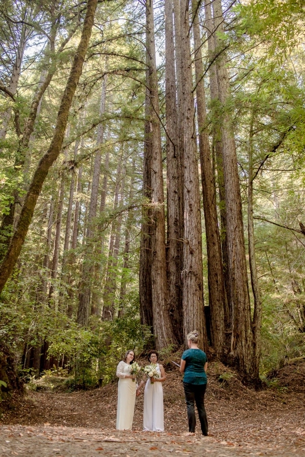 redwood wedding