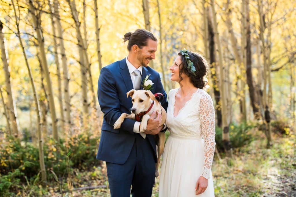 Dog at the wedding