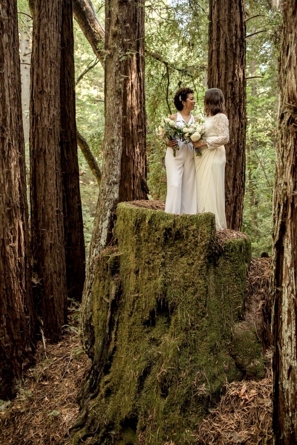 Two brides standing on a redwood tree stump