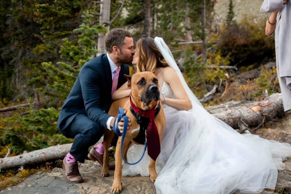 Annie and Justin with their dog