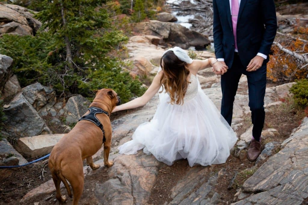 getting their dog to sign the license