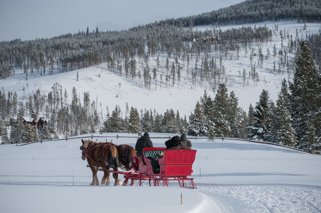 eloping couple in a horse-drawn sleigh in Colorado - winter elopement