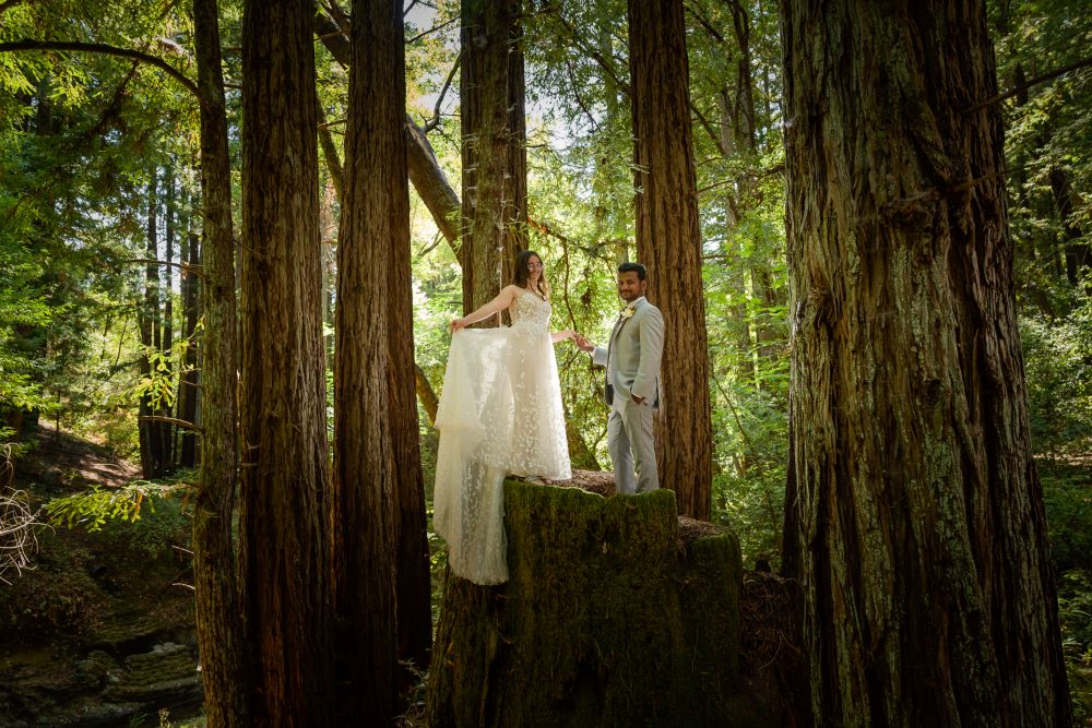 best date to elope in the California redwoods