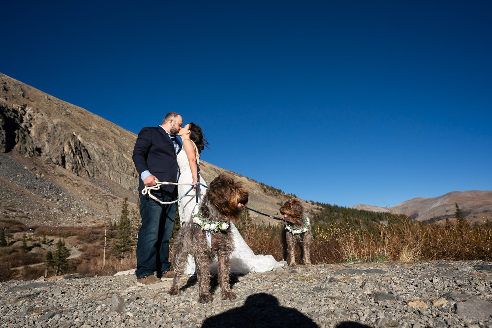 Elopement with dog witnesses in Colorado