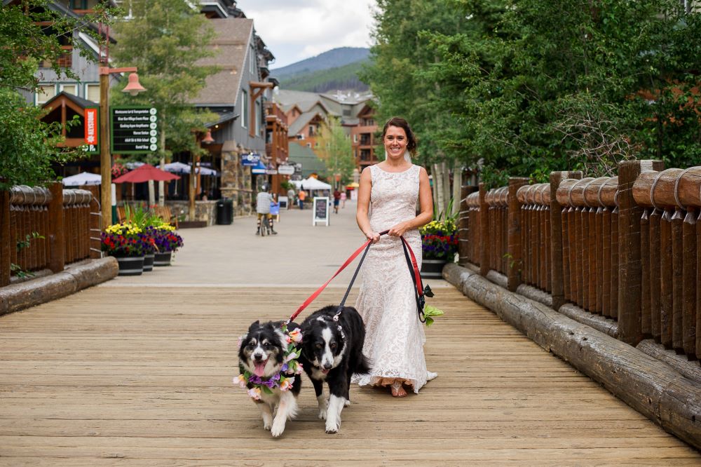 Bride with dogs | Elope in Vail