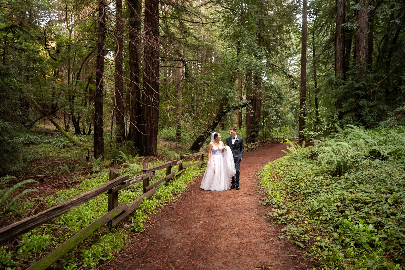 Bride and groom walking down a redwood-lined path | Bay Area redwood elopement